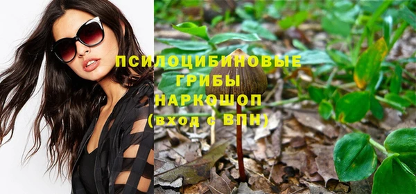 mix Осинники