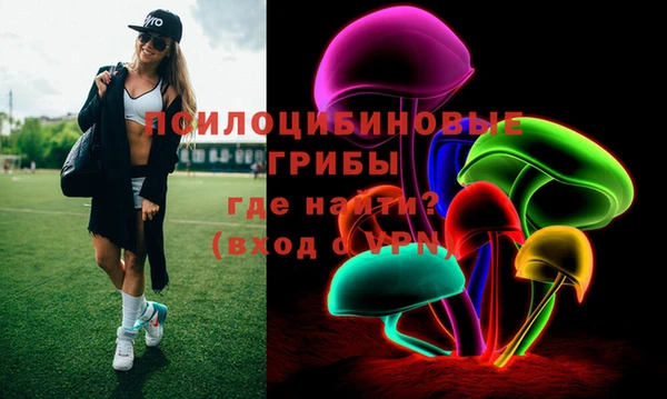 индика Переславль-Залесский