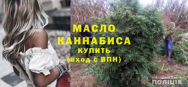 индика Переславль-Залесский