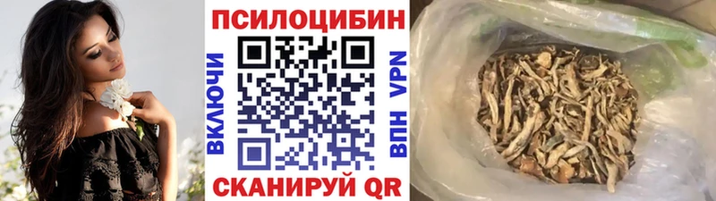 где продают наркотики  Подольск  Псилоцибиновые грибы Cubensis 