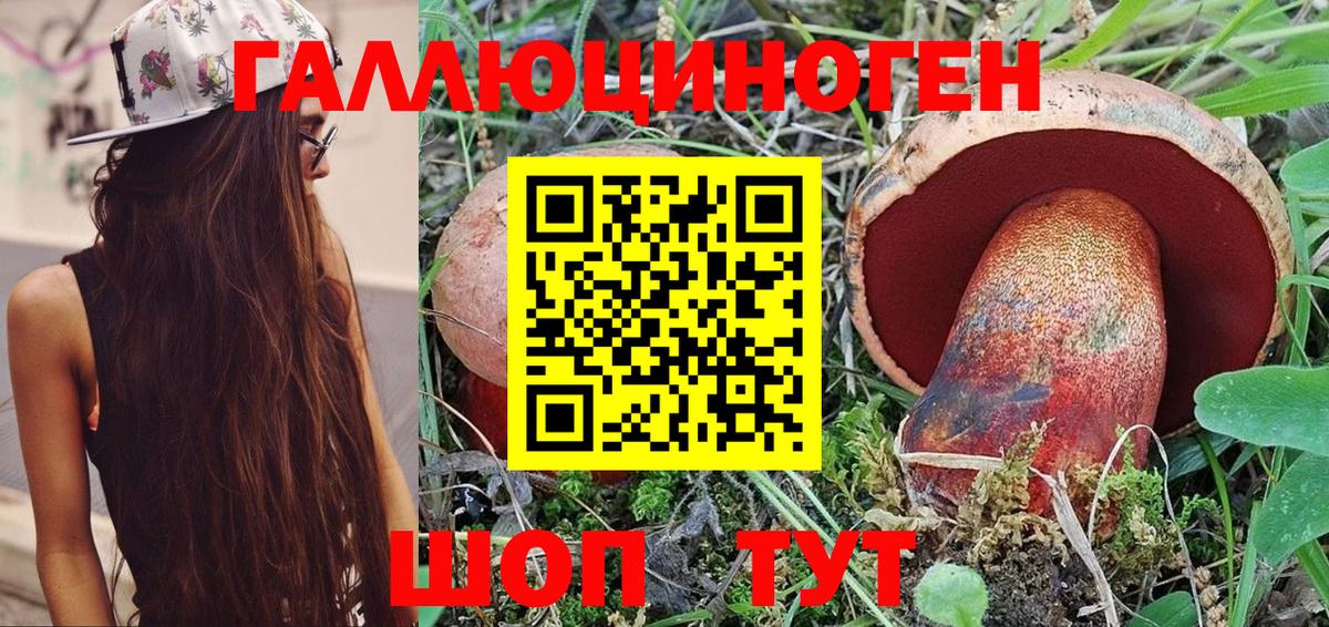 Галлюциногенные грибы Psilocybine cubensis Подольск